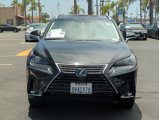Used 2019 Lexus NX 300h AWD w/ Comfort Package image 2