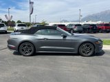 Used 2023 Ford Mustang Premium image 4