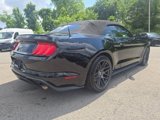 Used 2021 Ford Mustang Premium image 4