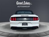 Used 2022 Ford Mustang Premium image 4