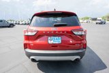Used 2022 Ford Escape SE w/ Cold Weather Package image 5
