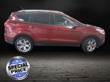 Used 2019 Ford Escape Titanium image 4