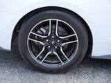 Certified 2022 Ford Mustang Premium image 6