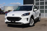 Used 2020 Ford Escape SE image 3