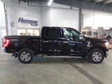 Certified 2022 Ford F150 XLT w/ Equipment Group 302A High image 3