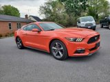 Used 2015 Ford Mustang Coupe w/ Equipment Group 051A image 3