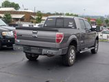 Used 2014 Ford F150 XLT w/ Equipment Group 302A Luxury image 5