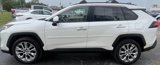 Used 2019 Toyota RAV4 Limited image 5