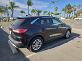 Used 2020 Ford Escape SE image 3