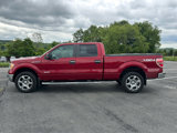Used 2014 Ford F150 XLT w/ Equipment Group 302A Luxury image 4