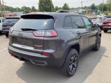 Used 2021 Jeep Cherokee Trailhawk w/ Premium Leather Package image 6