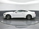 Used 2017 Ford Mustang Premium image 4
