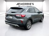 Used 2022 Ford Escape SEL w/ Technology Package image 5
