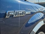 Used 2014 Ford F150 XLT w/ Equipment Group 302A Luxury image 4