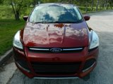 Used 2014 Ford Escape SE image 3