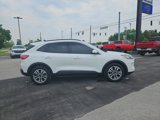Used 2020 Ford Escape SEL image 5