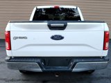 Used 2015 Ford F150 XLT w/ Equipment Group 301A Mid image 5