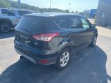Used 2014 Ford Escape SE image 3