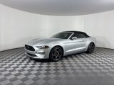 Used 2019 Ford Mustang Premium image 5