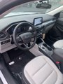 New 2025 Ford Escape Active w/ Cold Weather Package image 4