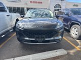 Used 2020 Ford Escape SE Sport image 3