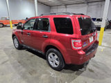 Used 2008 Ford Escape XLT image 6