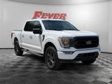 Used 2021 Ford F150 XLT w/ Equipment Group 302A High image 3
