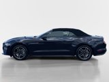 Certified 2023 Ford Mustang Premium image 3
