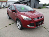 Used 2013 Ford Escape Titanium w/ Parking Technology Pkg image 6