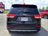 Used 2016 Kia Sorento EX w/ EX Premium Package image 5