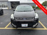 Used 2013 Ford Escape SEL image 2