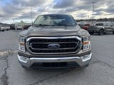 Used 2021 Ford F150 XL w/ Equipment Group 101A High image 2
