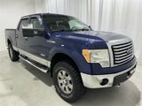 Used 2012 Ford F150 XLT w/ XLT Chrome Pkg image 2