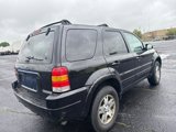 Used 2004 Ford Escape Limited image 5