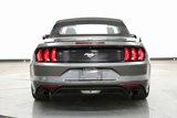 Used 2019 Ford Mustang Premium w/ Equipment Group 201A image 6