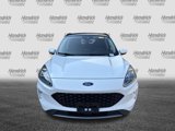 Used 2020 Ford Escape Titanium w/ Titanium Premium Package 2.0 image 3
