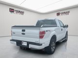 Used 2013 Ford F150 STX w/ Mid Equipment Group image 3