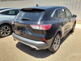 Used 2022 Ford Escape SEL image 5