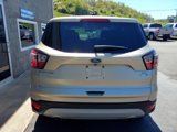 Used 2017 Ford Escape SE w/ SE Cold Weather Package image 4