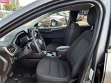 Certified 2023 Ford Escape Active w/ Tech Pack #1 image 6
