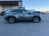 Used 2023 Hyundai Tucson Limited image 2
