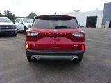 Used 2022 Ford Escape SE w/ Cold Weather Package image 4