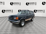 Used 1991 Ford Bronco Eddie Bauer image 4