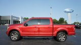 Used 2020 Ford F150 XLT w/ Equipment Group 302A Luxury image 4