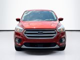 Used 2019 Ford Escape SE image 2