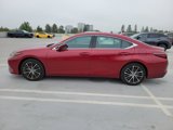 Used 2023 Lexus ES 350 w/ Premium Package image 2