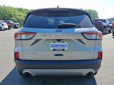 Certified 2022 Ford Escape Titanium image 5