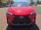 New 2025 Lexus NX 350 AWD w/ Premium Package image 5
