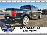 Used 2018 Ford F150 Platinum w/ Equipment Group 701A Luxury image 5