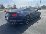 Used 2019 Ford Mustang GT w/ Enhanced Security Package image 5